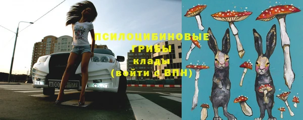 шишки Навашино