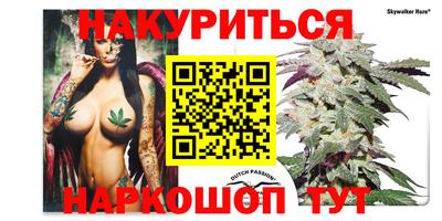 метадон Камышлов