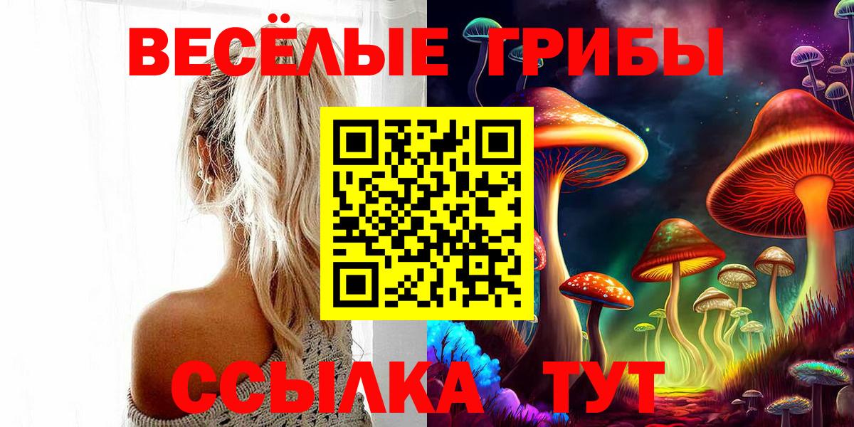 Псилоцибиновые грибы Cubensis Махачкала