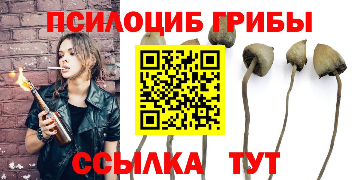 дарнет шоп  Псилоцибиновые грибы Magic Shrooms  Вход с VPN  Махачкала 