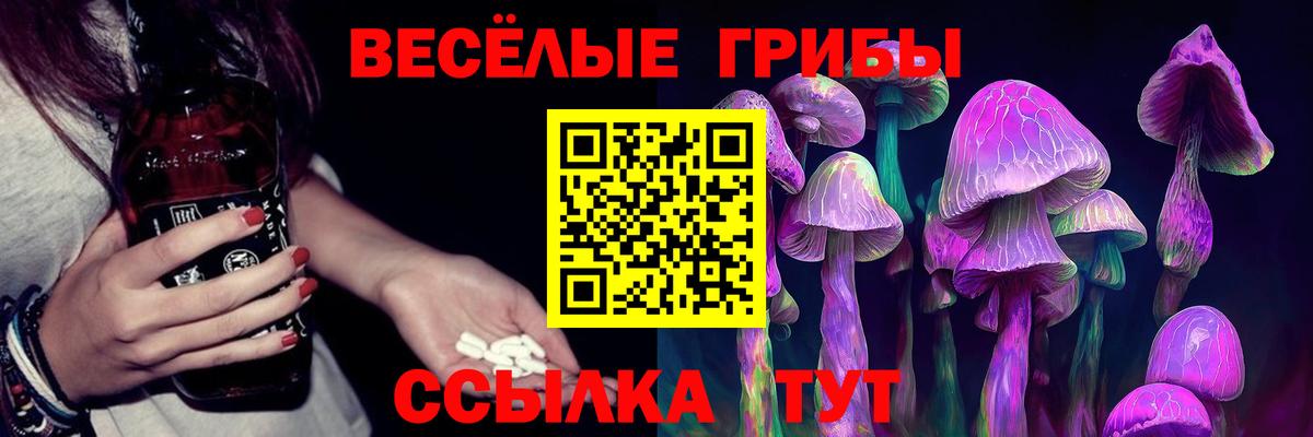 Псилоцибиновые грибы Magic Shrooms Махачкала